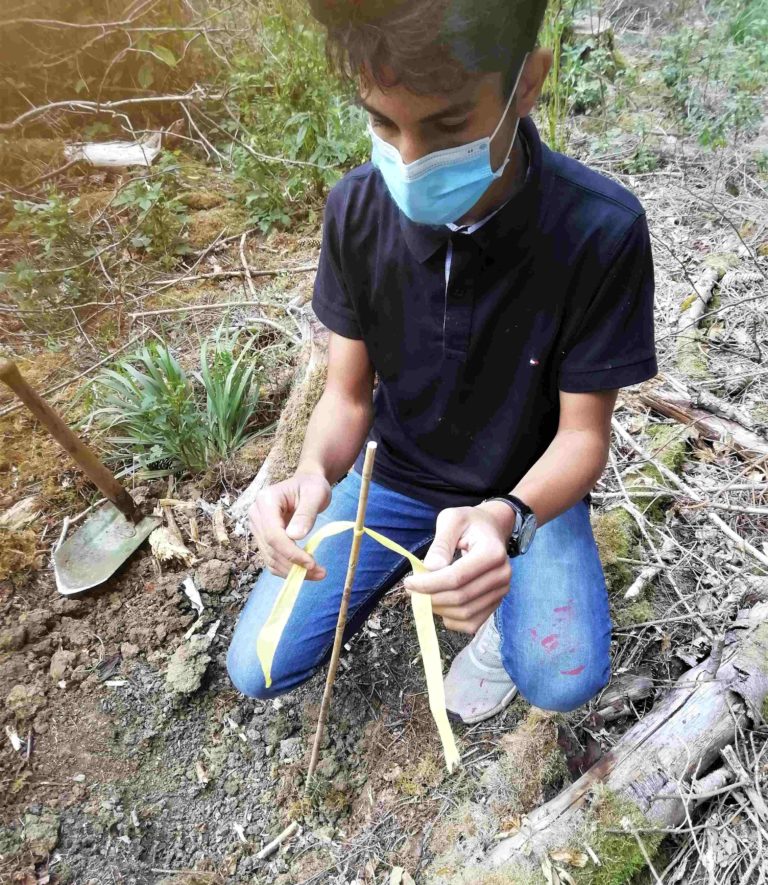 Wir berichten von unserem Waldprojekt Pestalozzi