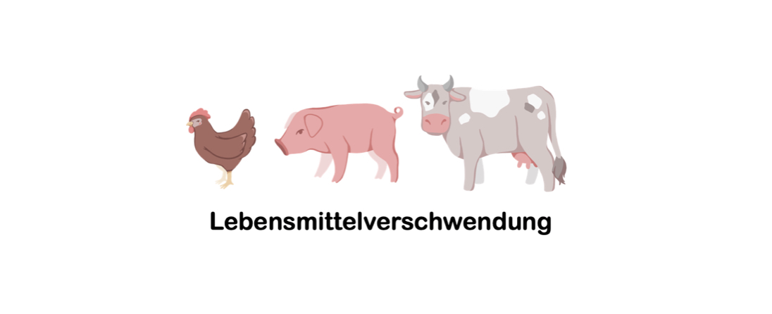 Mehr über den Artikel erfahren Besuch der Umweltstation