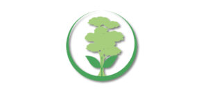 Mehr über den Artikel erfahren Die Praxisklasse 9 baut mit am Wald der Zukunft